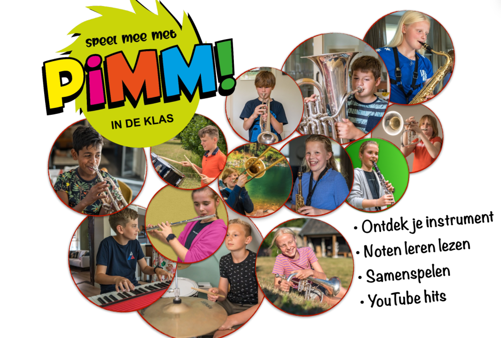 Afbeelding PiMM